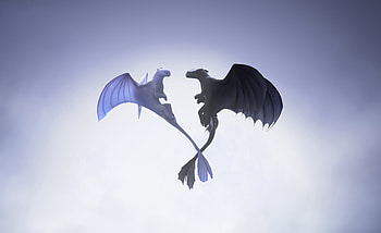 Night And Light Fury, night-fury, light-fury, how-to-train-your-dragon-the-hidden-world, 2019-movies, movies, artist, artwork, digital-art, dragon HD wallpaper