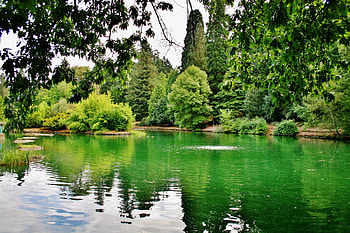 Nature, Usa, United States, Oregon, Portland, State Of Oregon, Laurelhurst Park HD wallpaper