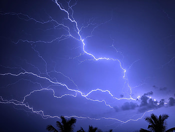 Nature, Sky, Lightning, Palms, Storm HD wallpaper