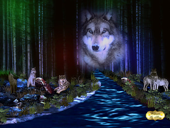 mystic forest, woods, wildlife, natue, trails HD wallpaper