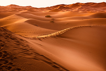 Dessert Sand Dunes , desert, nature, earth, sand, dunes HD wallpaper