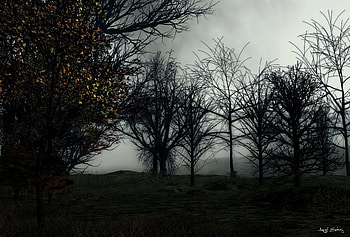 Trees, Art, Dark, Forest, Fog HD wallpaper