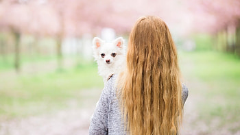 Lucky Me, dog, animals, cute, hair, woman HD wallpaper