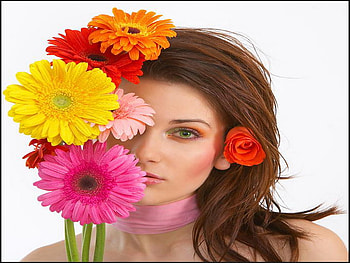 hide, face, gerber, colorful, pretty HD wallpaper
