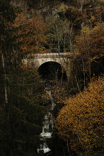 Nature, Rivers, Trees, Bridge HD phone wallpaper