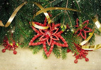Xmas, decoration, merry, christmas, fir tree, stars HD wallpaper