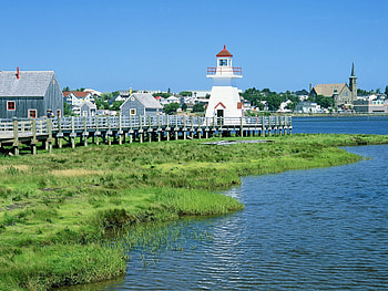 Nature, Shore, Bank, Vegetation, Lighthouse HD wallpaper
