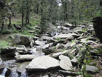 river in forest, himachal , clouds on mountain, my birth place, forests, mandi, kullu, vijay, hill station, mamdi , clouds, its the nature, nature, mountains, rivers HD wallpaper
