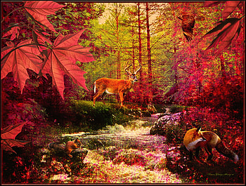 Afternoon in an Autumn Forest, wood, fantasy, autumn, afternoon HD wallpaper