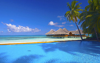 Beach, Sand, Palm trees, Sea, Pool, Clouds HD wallpaper