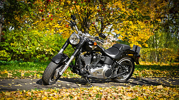 Harley Davidson Motorcycle 2, harley-davidson, bikes HD wallpaper