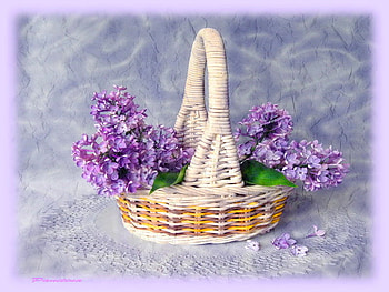 Still life, beautiful, nice, basket, delicate, pretty, flowers, lovely, lilac HD wallpaper