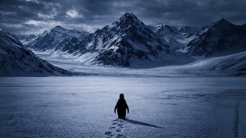 The Nihilist Penguin Meme, Animal, Penguin, Solitary, Snowy Mountain HD wallpaper