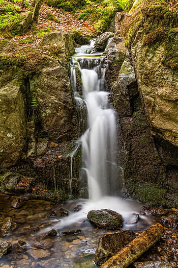 Peaceful waterfall cascading over mossy rocks in a lush forest setting, illustrating nature's tranquility. HD phone wallpaper