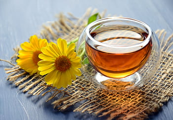 Glass cup of herbal tea with yellow flowers on a textured background. HD wallpaper