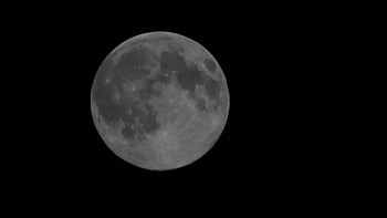 Harvest Moon, full moon, harvest, moon HD wallpaper