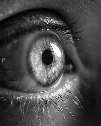 Macro shot of a human eye in black and white, showing detailed textures and reflections. HD phone wallpaper