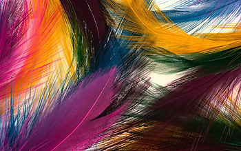 Feathers in flight, Feather patterns, Feather , Natural beauty HD wallpaper