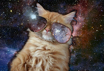 Cosmo-Cool-cat--wp4003354 HD wallpaper