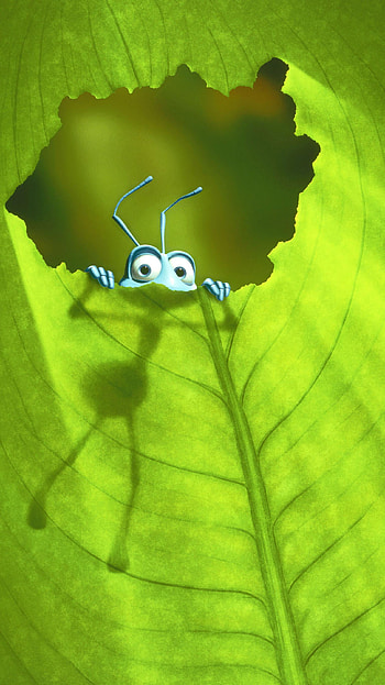 A Bug& HD phone wallpaper