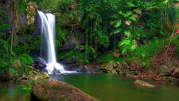 Tropical splendor, Cascading waterfalls, Lush vegetation, Serene rocks HD wallpaper