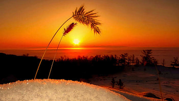 Winter Survival, sky, grass, sun, colors, landscape, sunset HD wallpaper