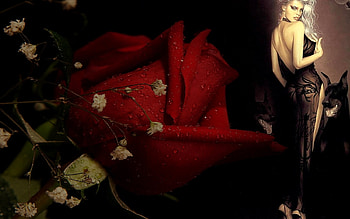 Femme Fatal, rose, fantasy, woman, flower HD wallpaper
