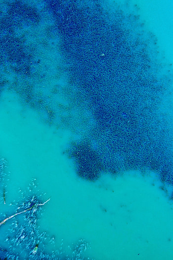 Nature, Water, View From Above, Ocean, Algae, Seaweed HD phone wallpaper