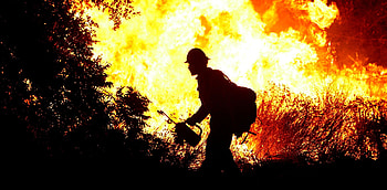 Firefighter forest , Nature's battle, Forest fire, Firefighter's strength HD wallpaper