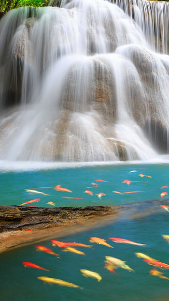 Exquisite beauty, Nature's majesty, Breathtaking view HD phone wallpaper