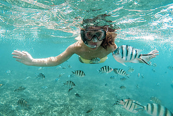 Mnemba Atoll, Snorkeling HD wallpaper