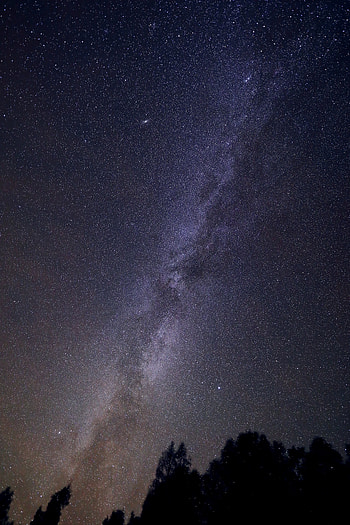 Universe, Stars, Silhouettes, Starry Sky HD phone wallpaper