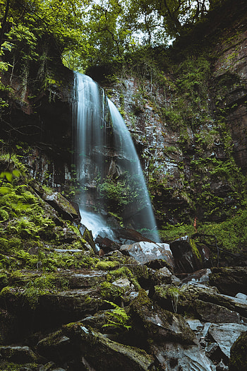 Nature, Stones, Waterfall, Fern, Flow, Moss, Stream HD phone wallpaper