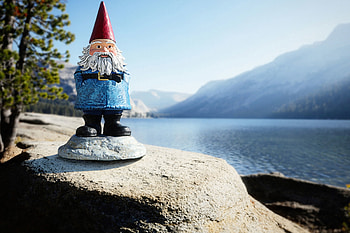 Garden gnome, Whimsical decoration, Mischievous companion, Folklore creature HD wallpaper