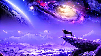 King Is Back, tiger, king, artist, artwork, digital-art, deviantart HD wallpaper
