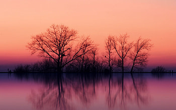 Amazing, other, beautiful, nature HD wallpaper