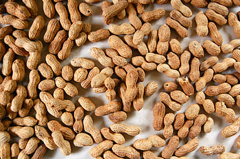 Peanuts (Food), Nutty delight, Close-up , Irresistible flavor HD wallpaper