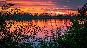 Nature, Rivers, Sunset, Leaves, Horizon, Blur, Smooth, Branches HD wallpaper