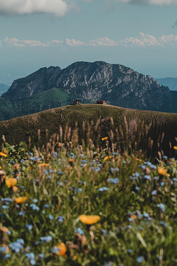 Nature, Flowers, Building, Rocks, Hills, Wildflowers HD phone wallpaper