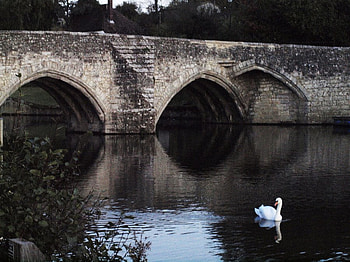 bridge 2, bridge, swan, nature, lake HD wallpaper