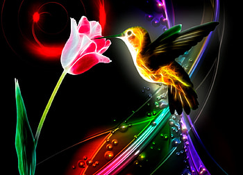 Humming Bird, hummingbird, abstract, fantasy, art HD wallpaper