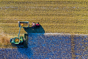 Drone captures vibrant aerial view of tractors harvesting corn in Minnesota field. HD wallpaper