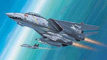 Grumman F-14 Tomcat, Grumman, F-14, Tomcat, Military, Plane HD wallpaper