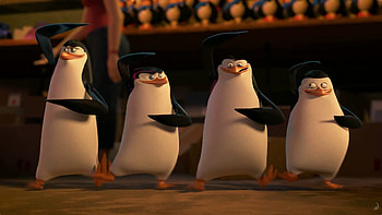 Madagascar, Animated adventure, Wild escapades, Jungle fun HD wallpaper