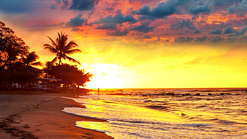 Tropical Sunset, beach, palms, sea, trees, colors, clouds, sky, sun HD wallpaper