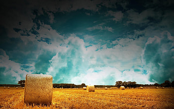 Straw rolls, Farms HD wallpaper