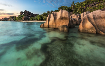 La Digue charm, Ocean vistas, Palm-fringed shores, Nature's allure HD wallpaper