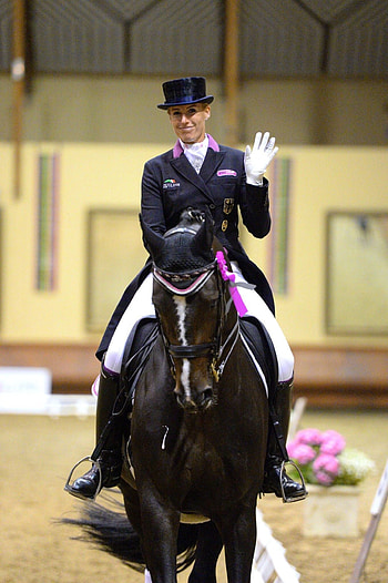 Stylish equestrian outfits, Pink accents in dressage, Fashionable riding attire, Dressage style HD phone wallpaper
