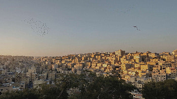 Jordan country of refugees, Humanitarian crisis, Support systems, Philanthropy HD wallpaper