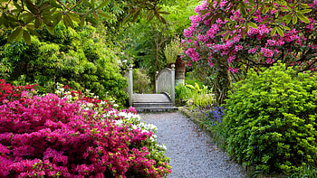 York Gate gardens - United Kingdom, UK, gate, garden, paradise, beautiful, York, alleys, spring, walk, summer, pretty, greenery, flowers, lovely HD wallpaper
